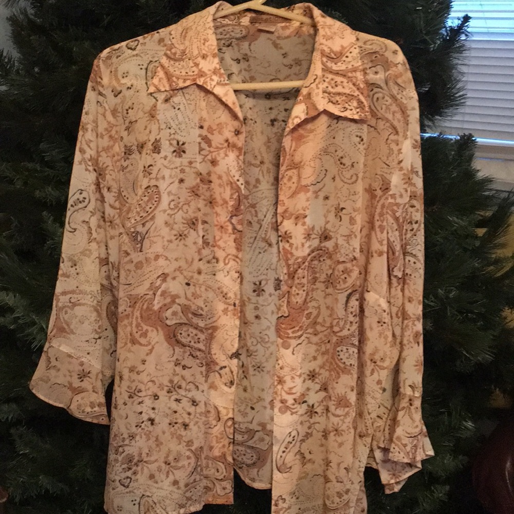 Sheer Blouse 2X